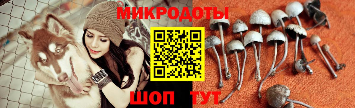 Галлюциногенные грибы прущие грибы  Вход с VPN  Котлас 